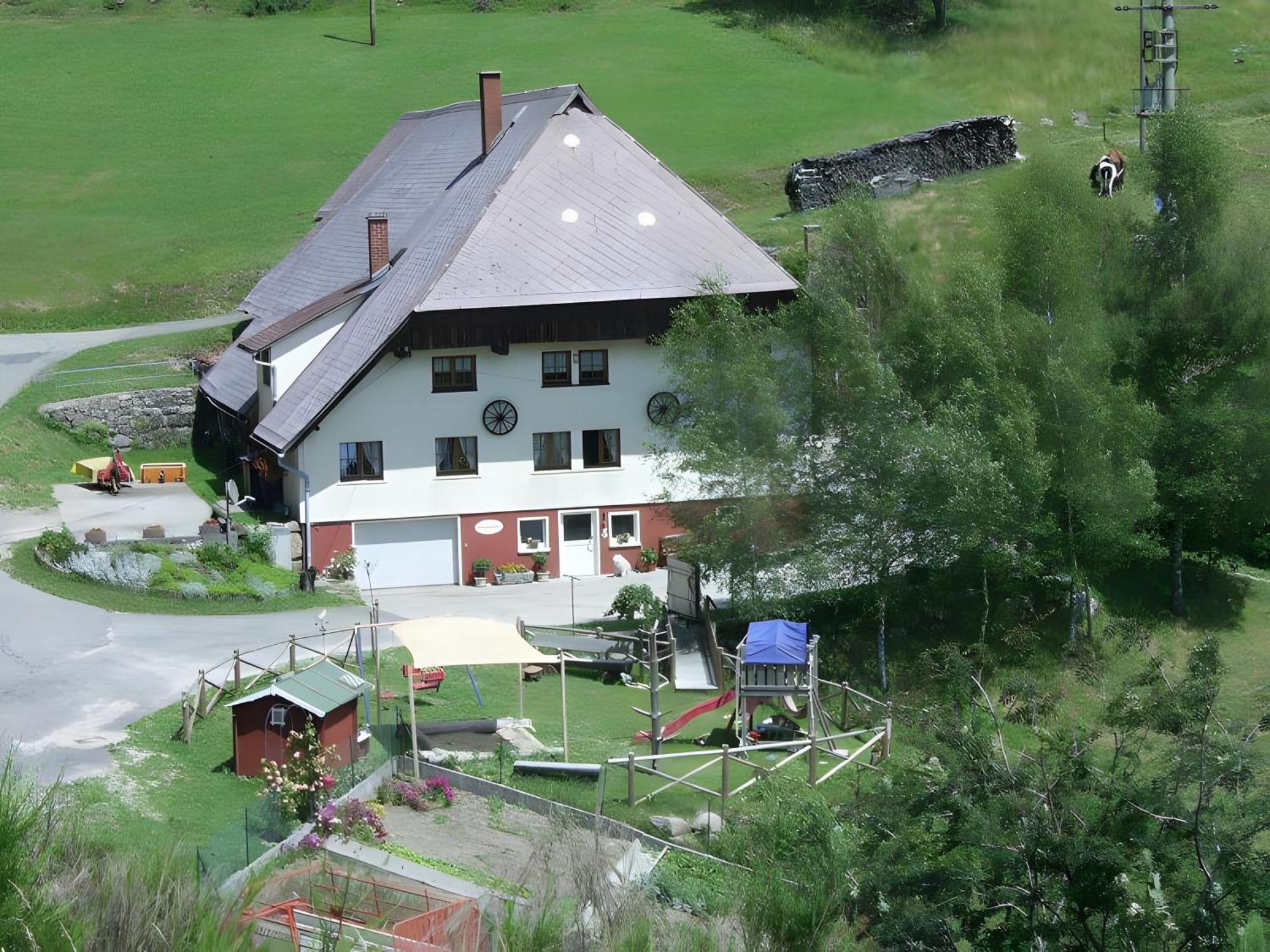Willa Hinterhauensteinhof Hornberg Zewnętrze zdjęcie
