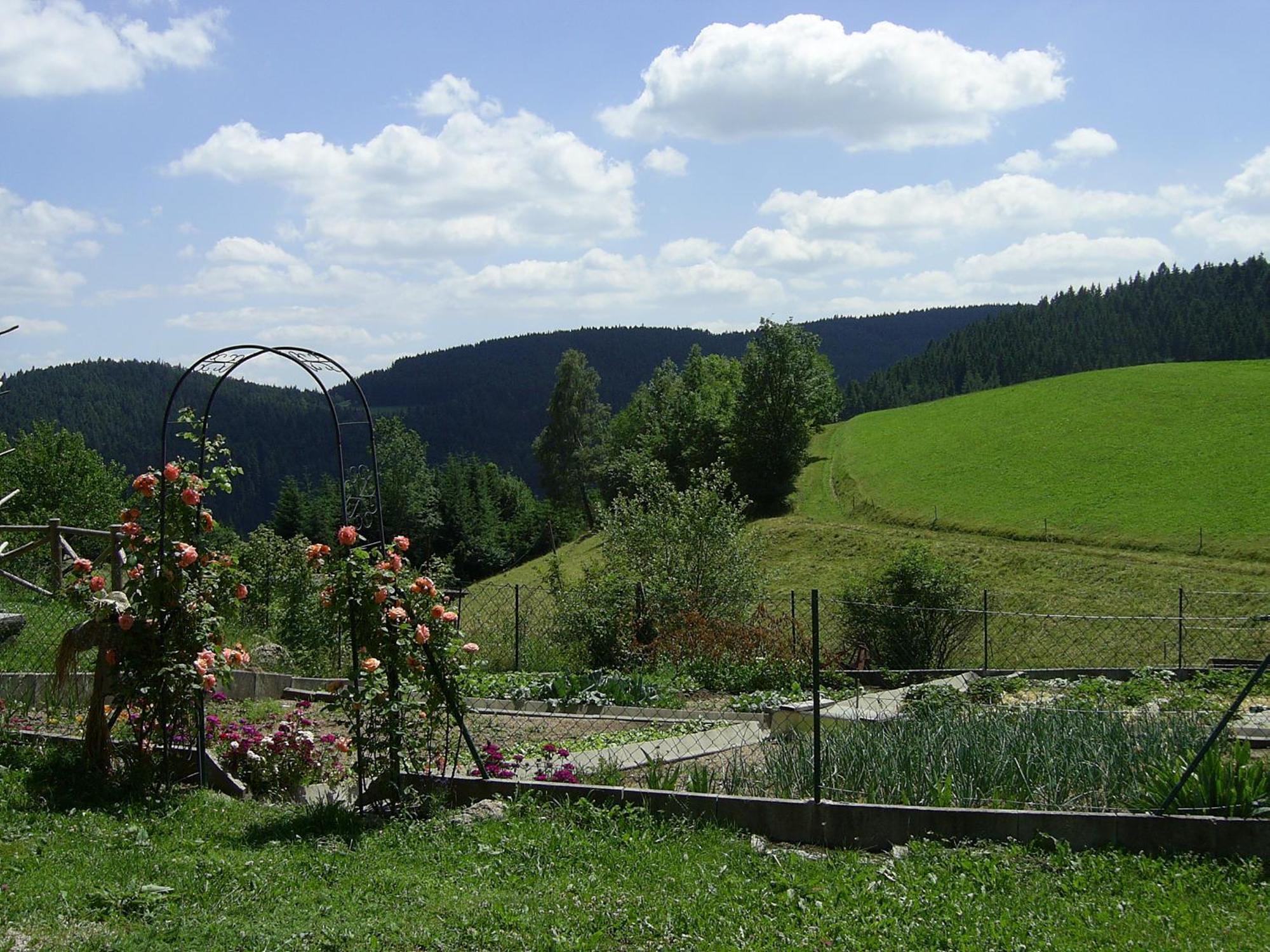 Willa Hinterhauensteinhof Hornberg Zewnętrze zdjęcie