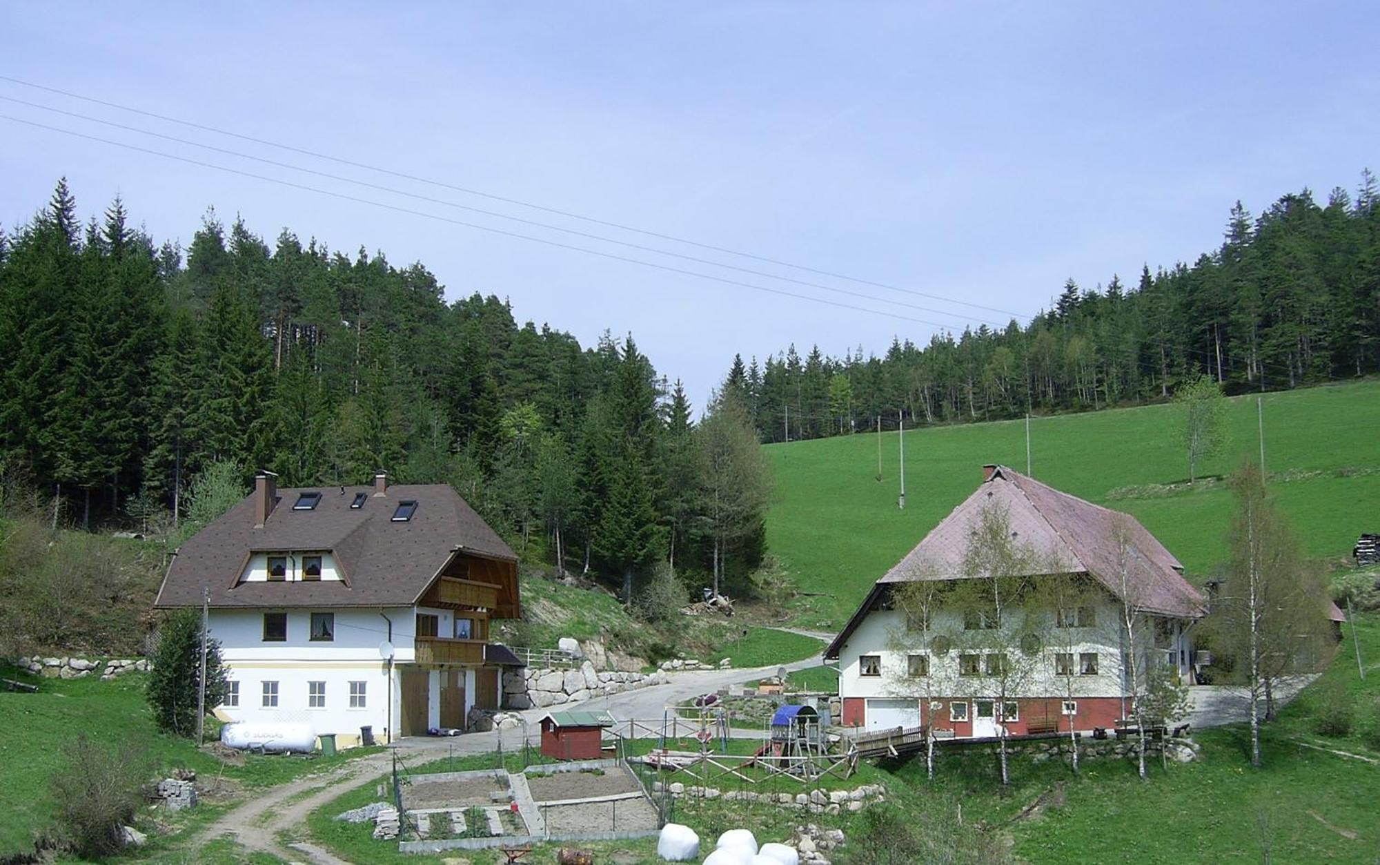 Willa Hinterhauensteinhof Hornberg Zewnętrze zdjęcie